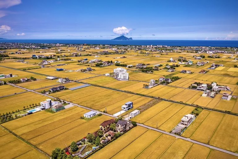Golden Rice Paddy_Yilantou City_Taiwan_071325A