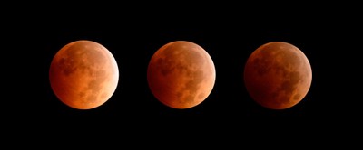 The Lunar Eclipse, October 2014