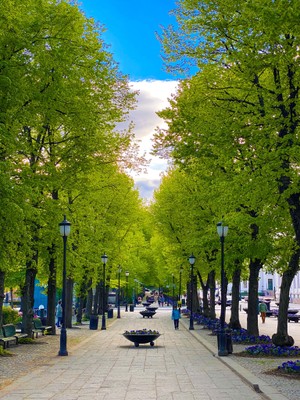 Oslo_Norway_102521A