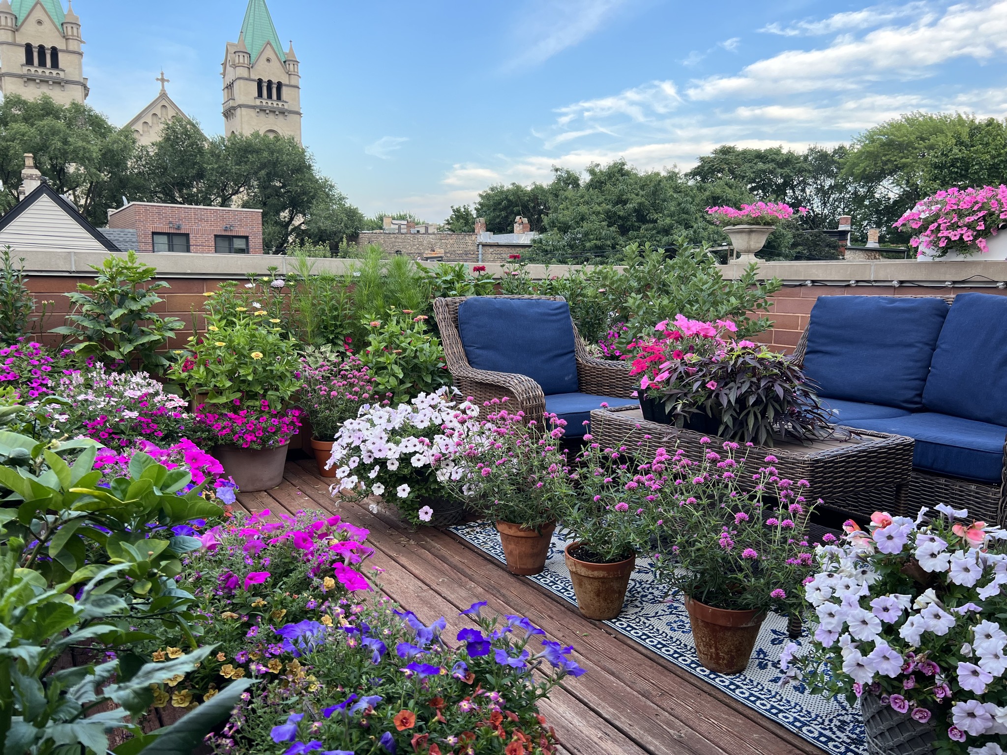 Garden on the Deck_080723A