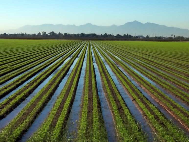 Irrigation Canals_121822A