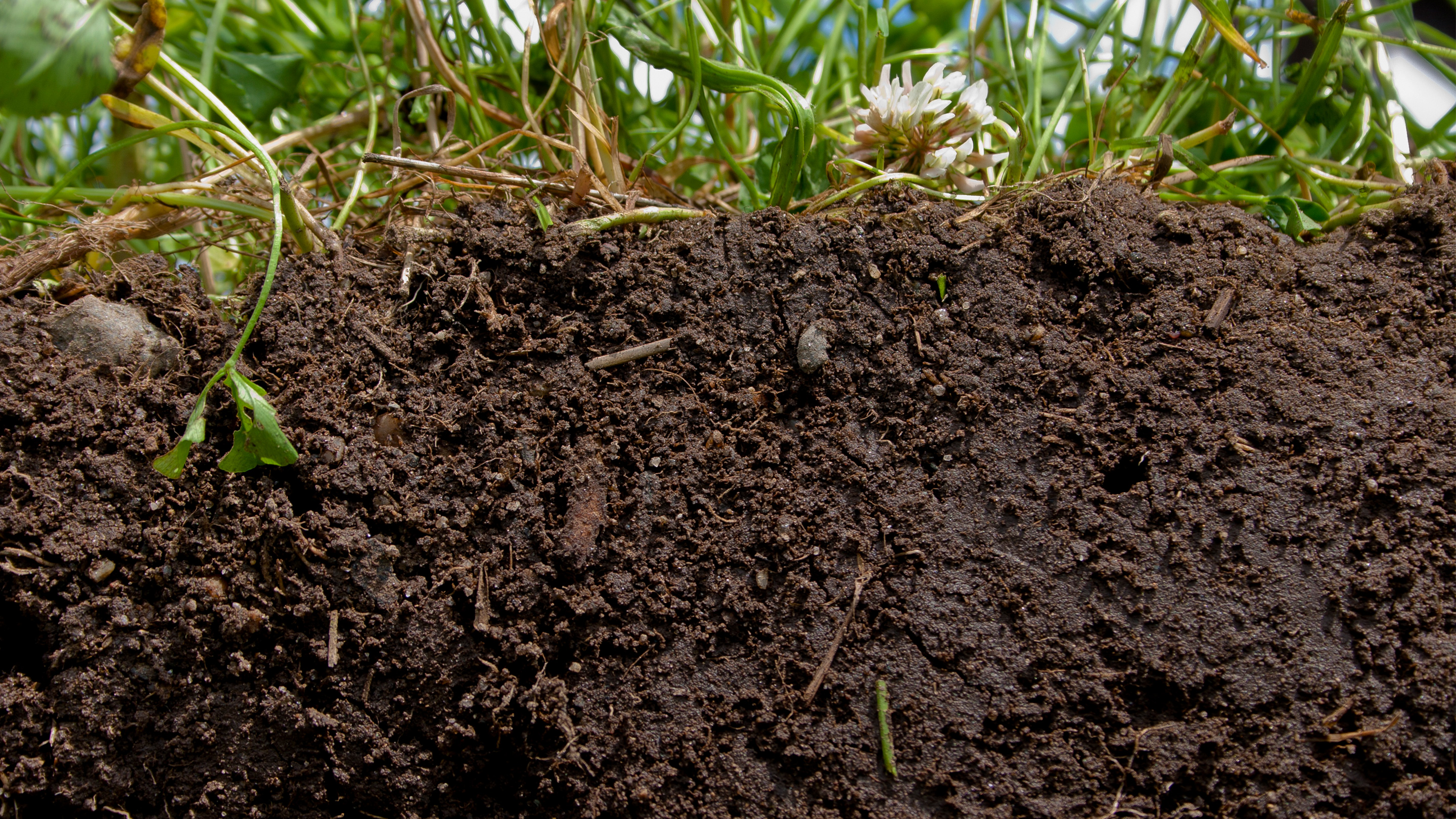 Soil_120422A