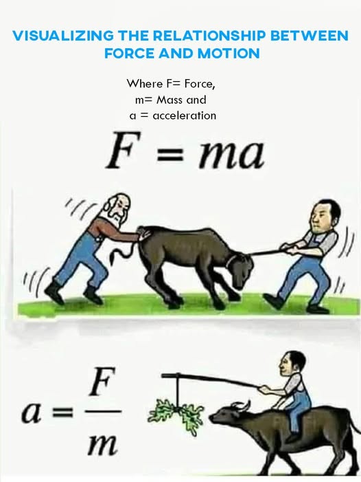 The Relationship between Force and Motion_122625A