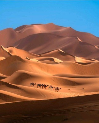 Sahara Desert_Morocco_061921A