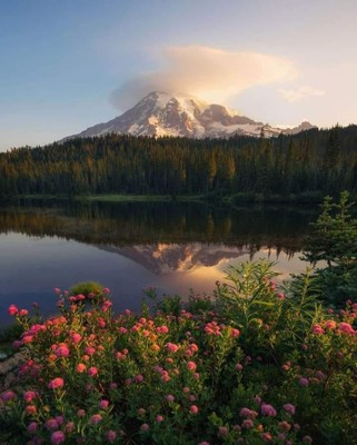 Mount Rainier_Washington_052622A