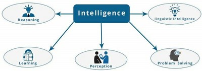 The_Components_of_Intelligence_081220A
