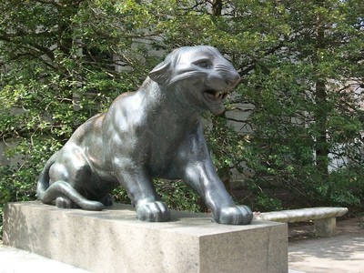 Princeton Tiger, Princeton University