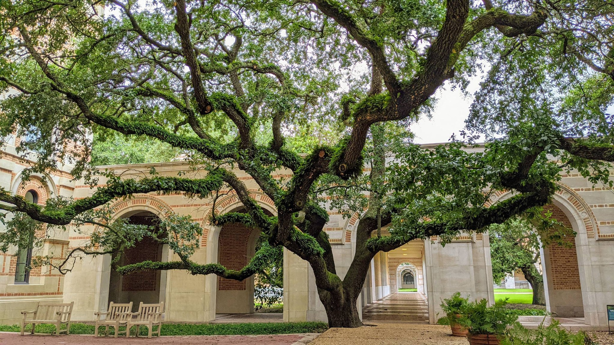 Rice University_Brandon Martin_083021A