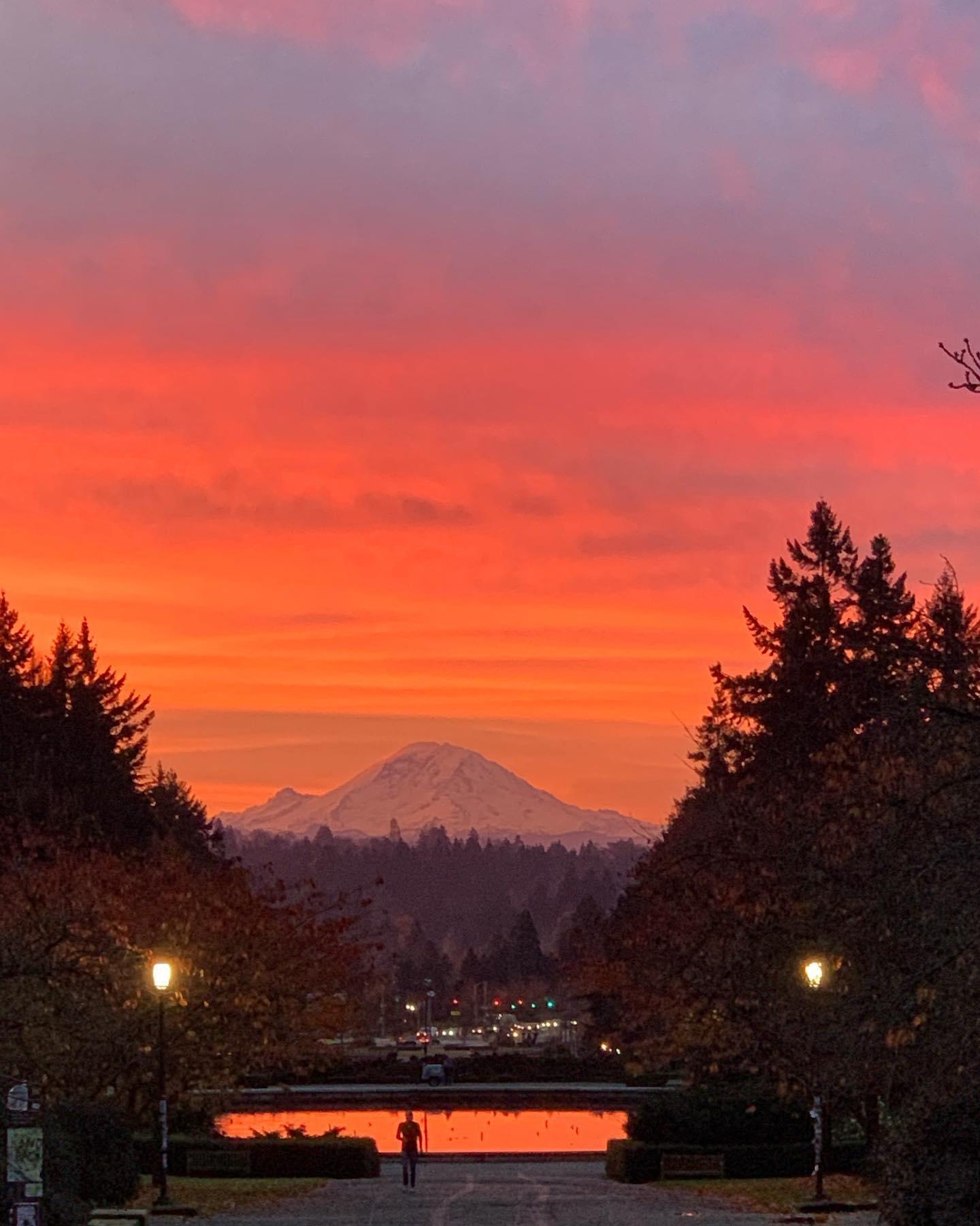 University of Washington_021124B