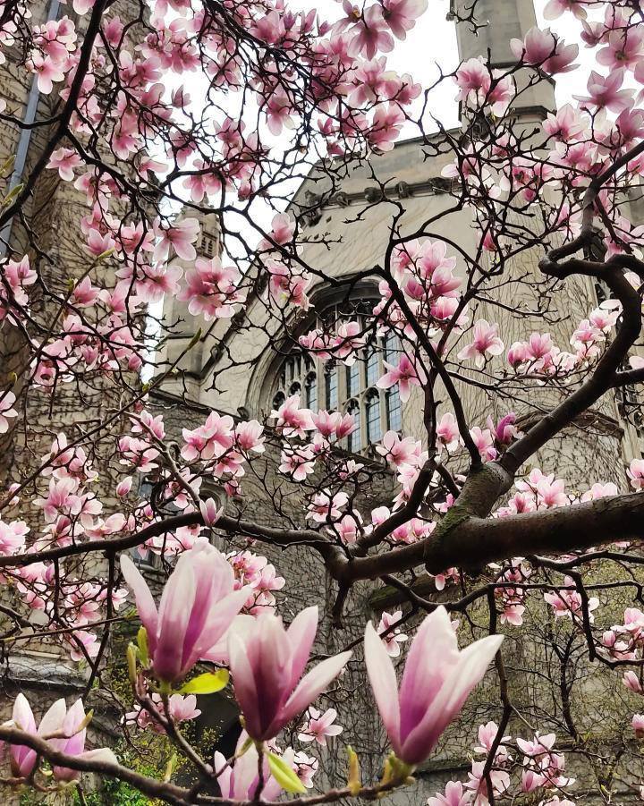 University of Chicago_050222A